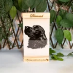 Portaretrato en madera de pino y acrílico