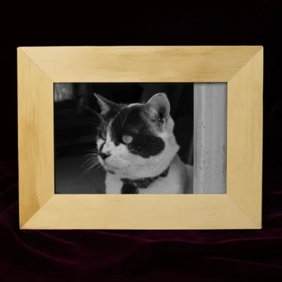 Portaretrato para mesa en triplex de pino vista frontal con fotografía